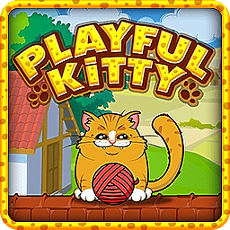 Playful Kitty