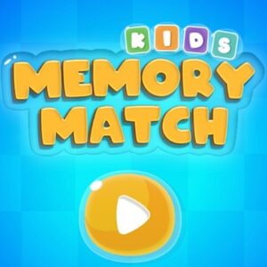 Memory Cards
